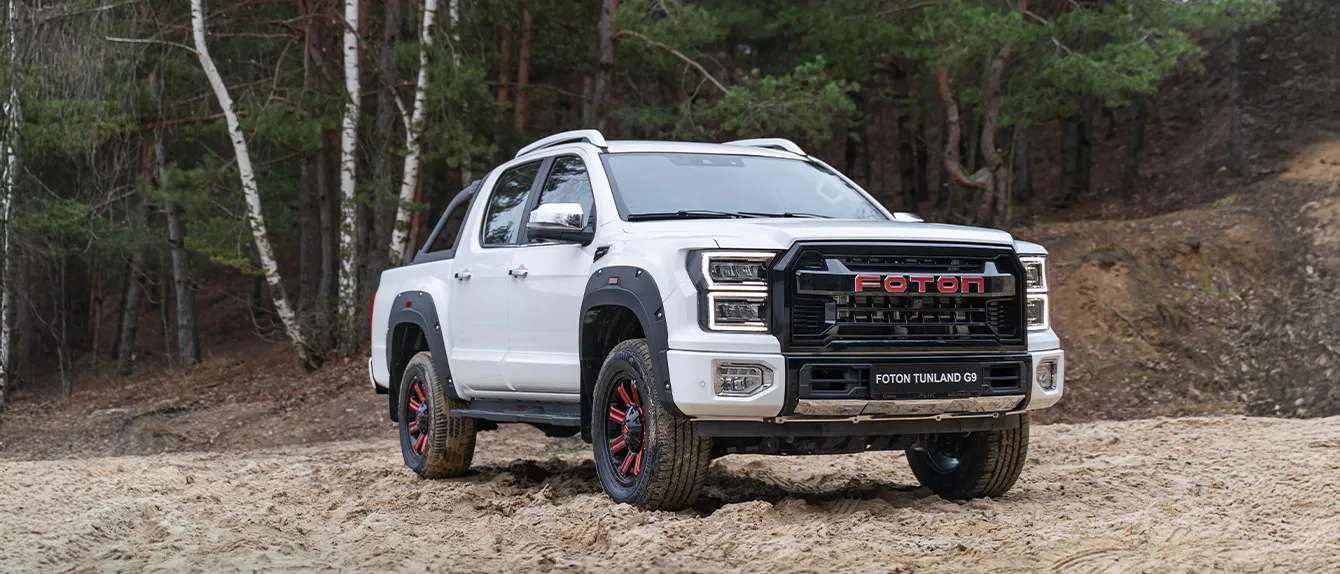 Foton Toano освещение