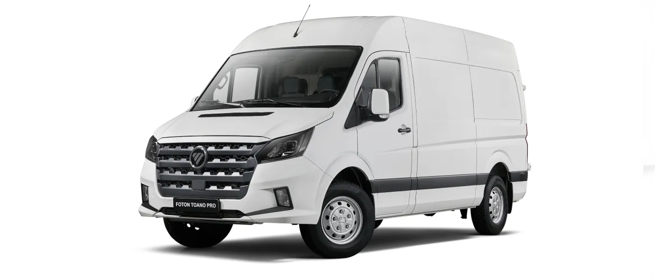 Внешний облик